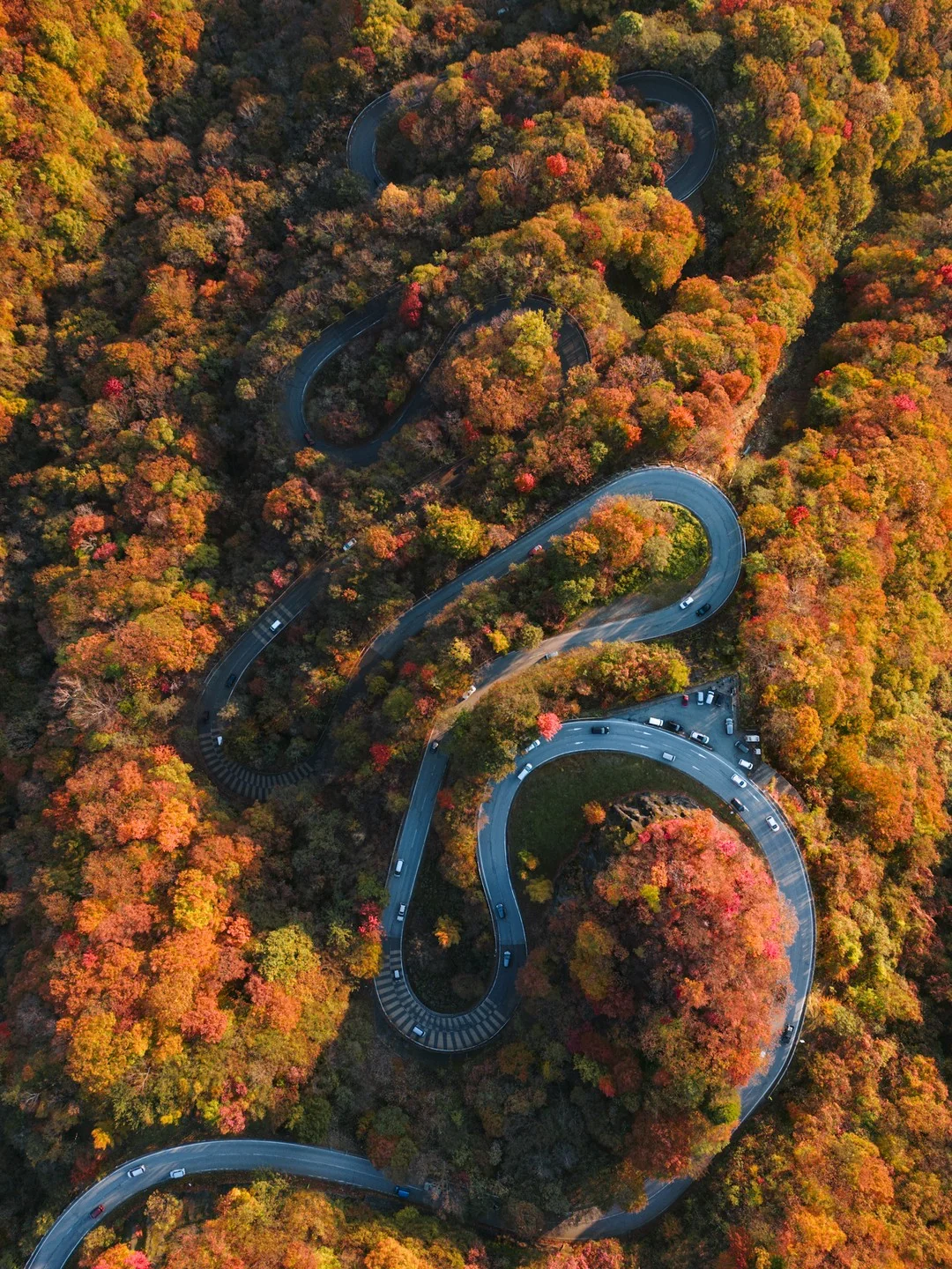いろは坂