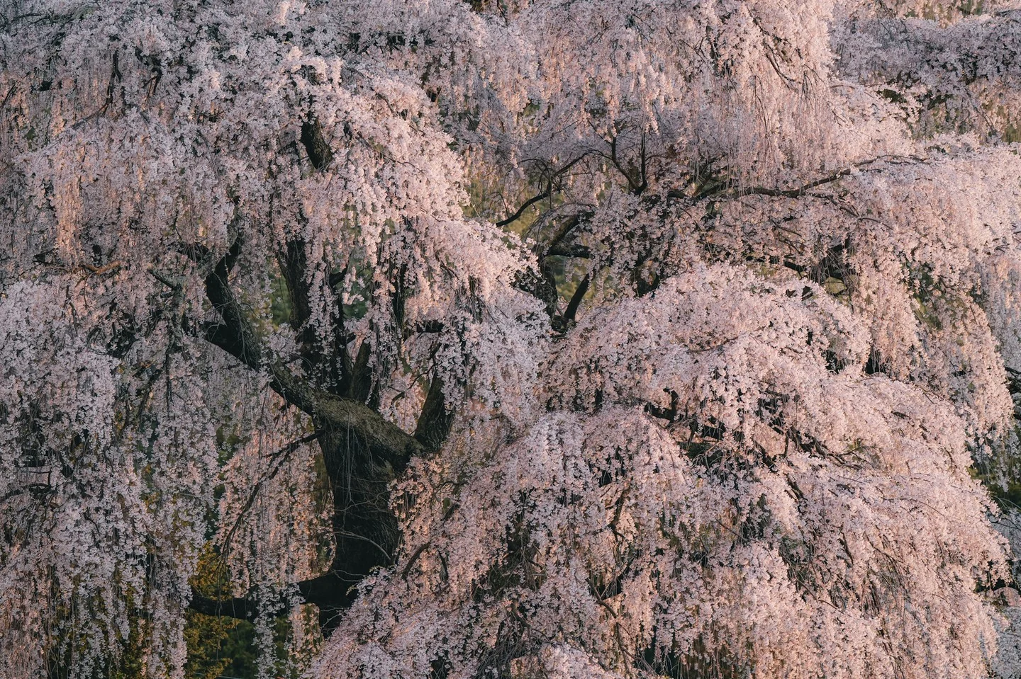 長野県