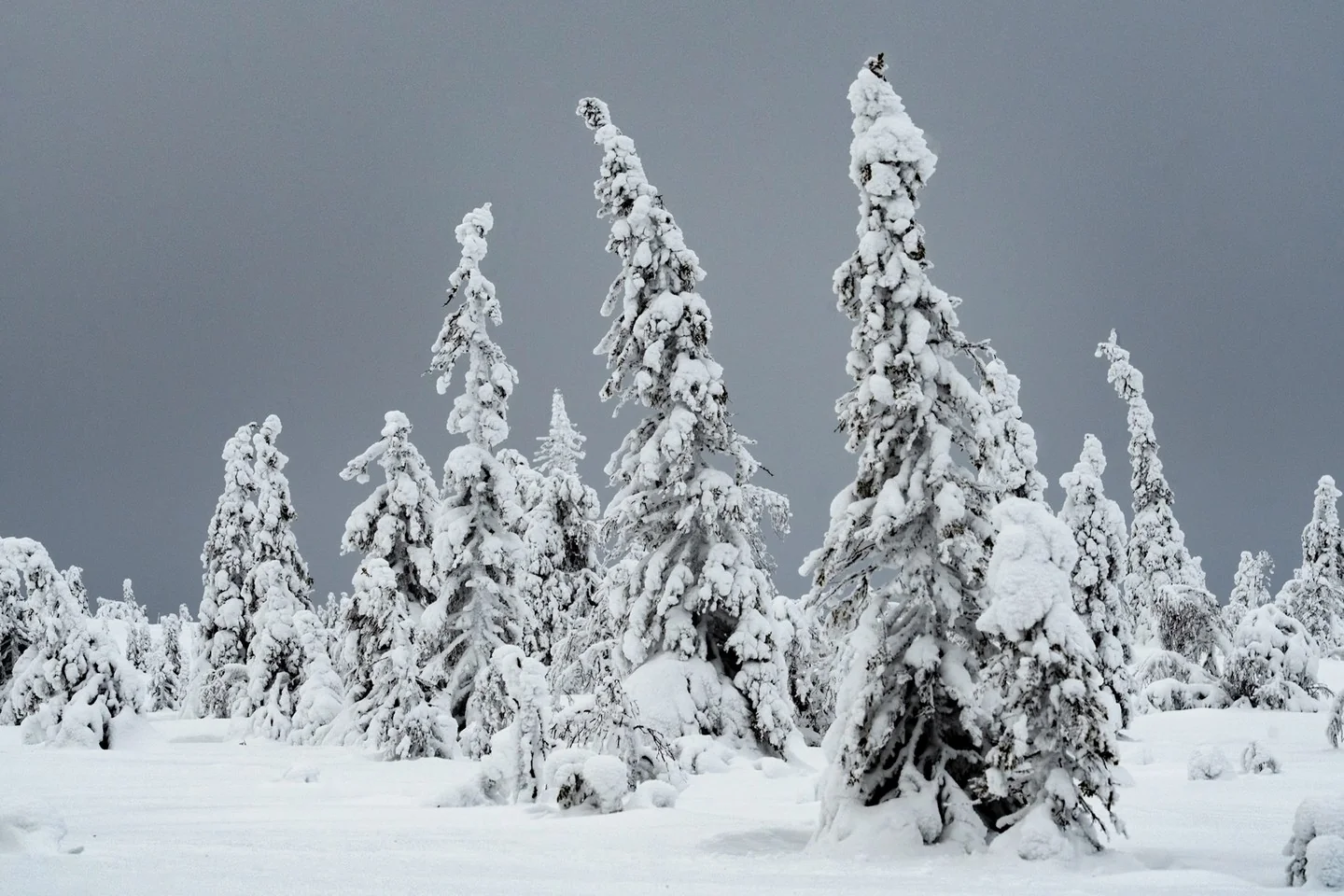 Finland
