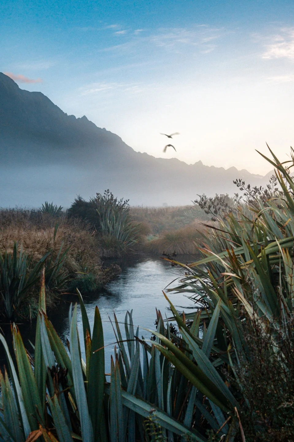 New Zealand